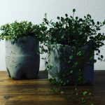 三ツ矢サイダーの美しい『御御足』に魅せられて。。