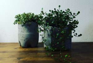 三ツ矢サイダーの美しい『御御足』に魅せられて。。