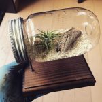 100均の材料で超驚きなテラリウムの作り方!【実例集 VOL.12】