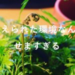 人生勝ち組!ブログで得られる5つのメリット!