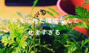 人生勝ち組！ブログで得られる５つのメリット！