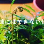 ブログ・アフィリエイトでどやって稼ぐ?時代に乗り遅れない考え方。