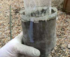 コンクリート（セメント）鉢の作り方！三ツ矢サイダーで超おしゃれ！【実例集 VOL.10】