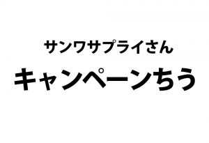 周辺機器買うならとりあえず、サンワサプライさんの通販をクリックなのだ。