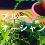 ブログのネタに悩んでる皆さん。。困ったときのマインドセットをお伝えするよ!