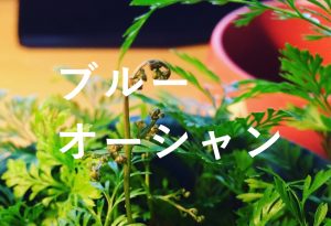 ブログのネタに悩んでる皆さん。。困ったときのマインドセットをお伝えするよ！