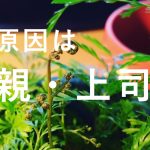 仕事が辛い、報われない努力からの脱出方法。
