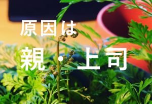 仕事が辛い、報われない努力からの脱出方法。