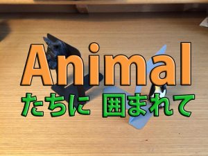 ハンティングトロフィーマグネットクリップを100均DIY！かわいすぎ！【実例集 VOL.18】