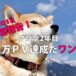ブログを続けるメリットと2年目運営報告