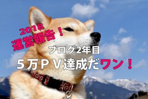 ブログを続けるメリットと２年目運営報告