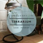 100均テラリウム。フェイクでも目を疑うおしゃれな仕上がり!【実例集 VOL.29】