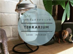100均テラリウム。フェイクでも目を疑うおしゃれな仕上がり！【実例集 VOL.29】