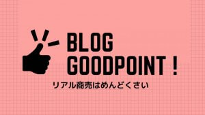 ブログのいいところはリアルに会わなくても稼げるところです。