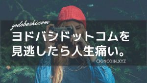 ネットショップで安いのは？ヨドバシドットコムを忘れずに！