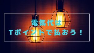 Ｔポイントの使い道。中部電力エリアの人はヤフーカード作るべし！